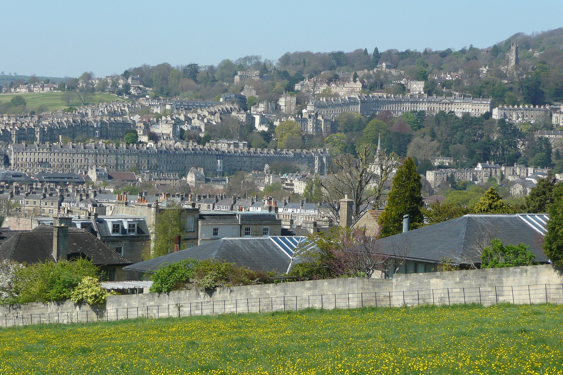 A free view over Bath's rooftops and hillside terraces from the Skyline walk, with a buttercup meadow in the foreground
