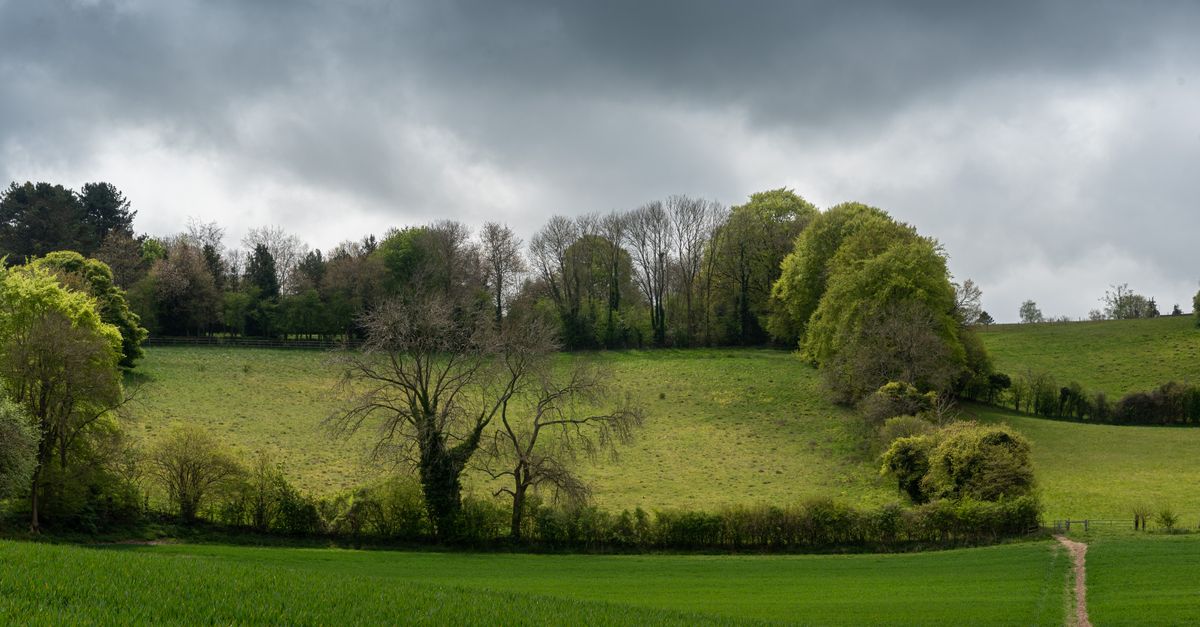 A gentle green meadow with hedgerows and a footpath under a moody English sky.