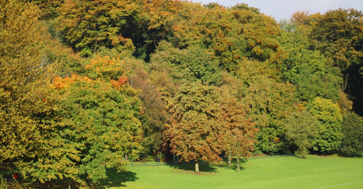 Bridgerton Walk