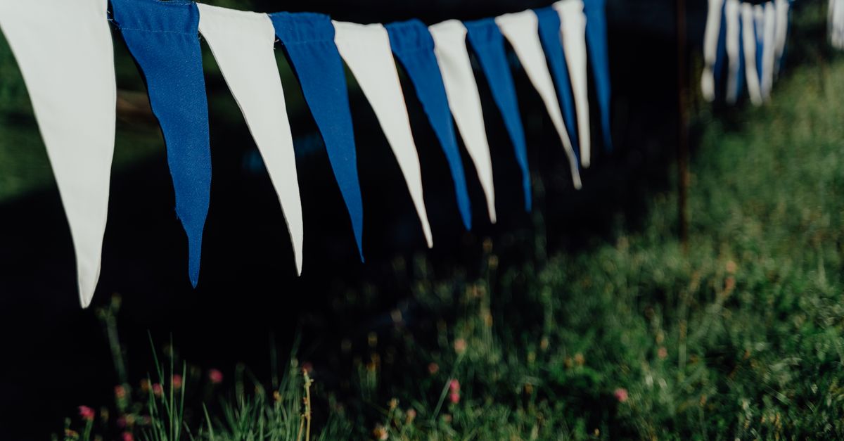 A string of blue and white triangular bunting flags hanging above a grassy field.